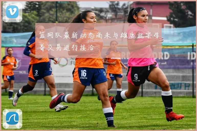 篮网队最新动态尚未与雄鹿就字母哥交易进行接洽